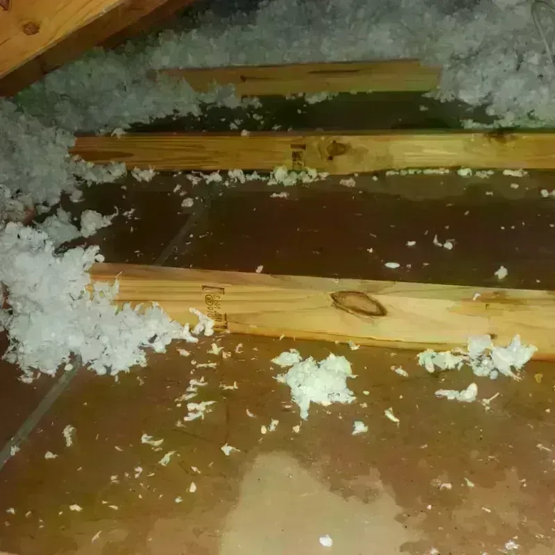 Attic Water Damage in Pine Ridge at Crestwood, NJ